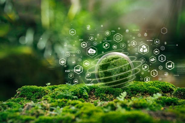 How Board Accountability Supports Sustainable Business Growth