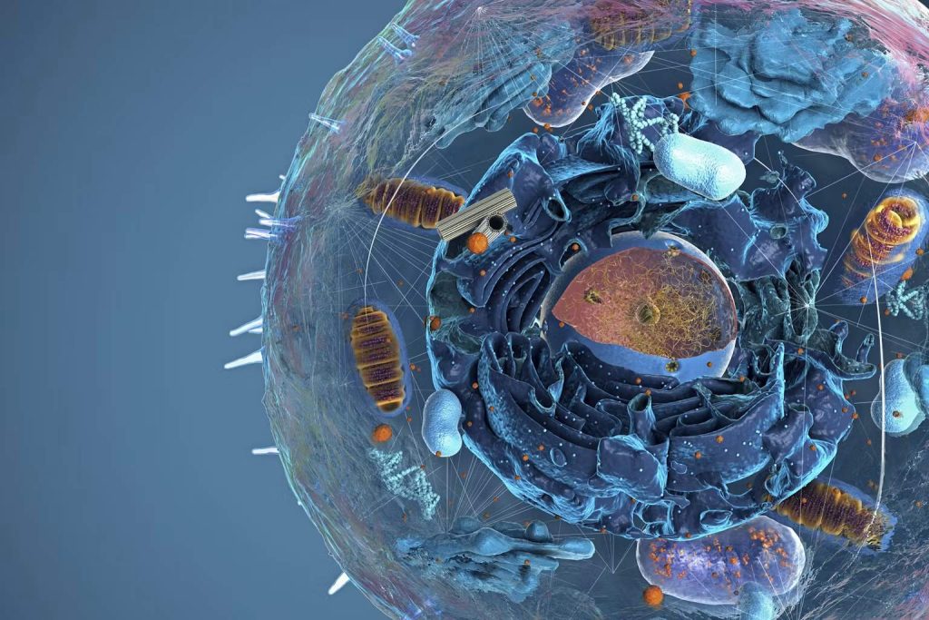 How Does Water Actually Move In and Out of Human Cells?